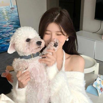 我们相爱吧 第一季