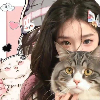 阿拉兔动画短片